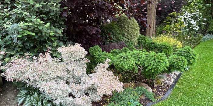 Garden group - Fleurs en Seine