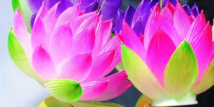 Groupe coréen- Atelier de Lanterne de la fleur de lotus