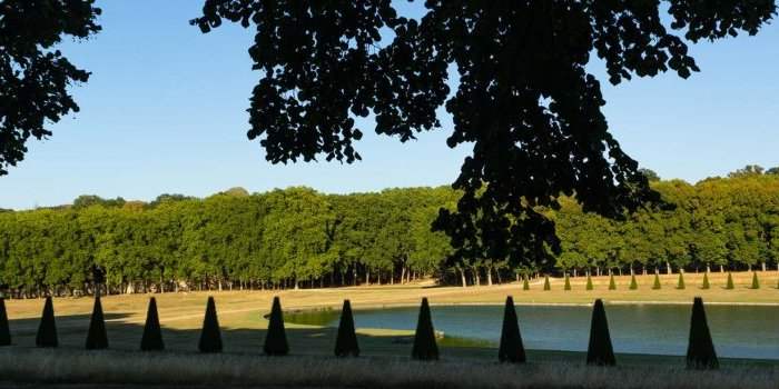 Marche au Parc de Marly le Roi