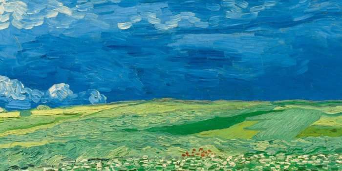Exposition « Van Gogh à Auvers sur Oise. Les derniers mois » au musée d'Orsay.