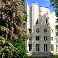 Report - Circuit des arbres remarquables de Louveciennes