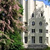 Report - Circuit des arbres remarquables de Louveciennes